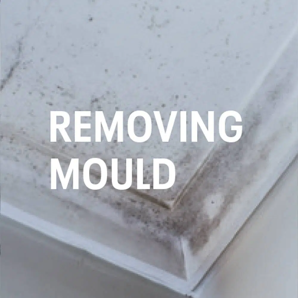 removing mould