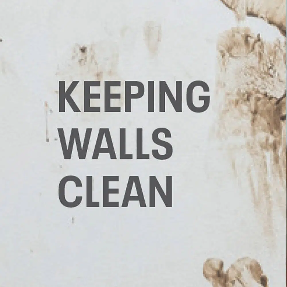 keep walls clean